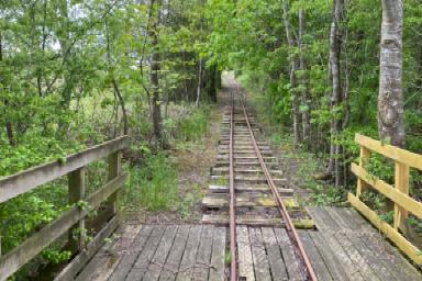 IMG_6397.jpeg IMG_6397.jpeg